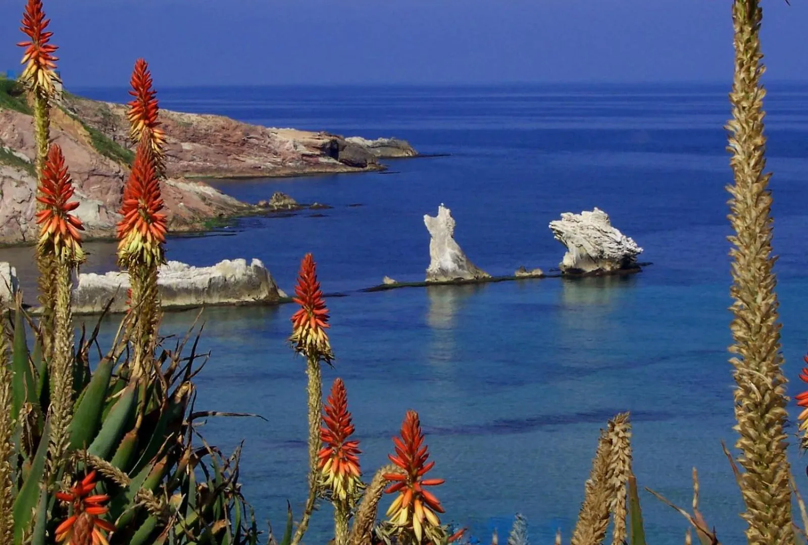 Esmaraldas House Of Love Terrasini Guest house